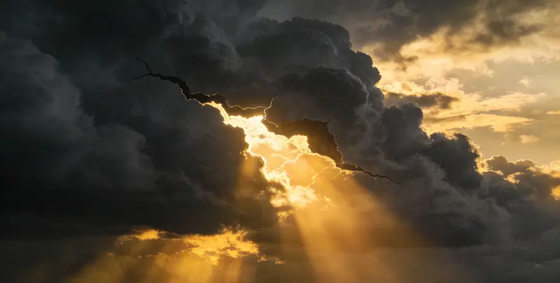 宜昌肺癌11基因检测组织版图片1