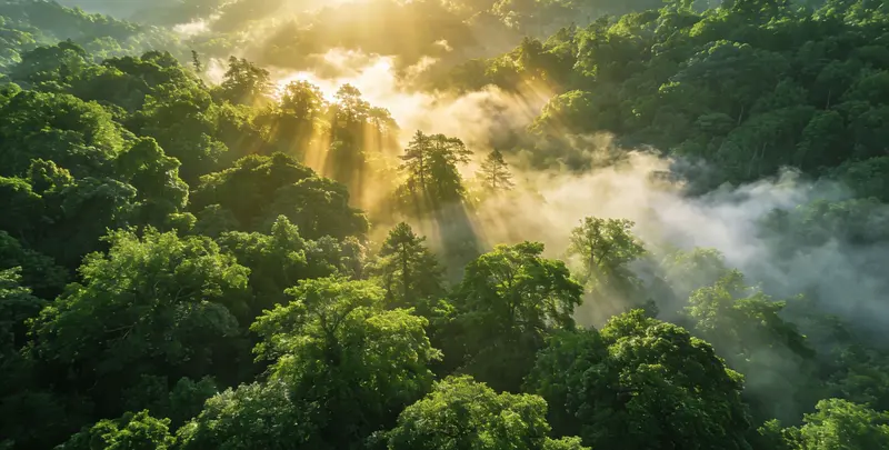 宜昌肺癌8基因突变检测（组织）图片1