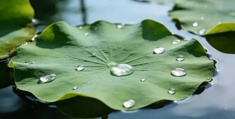 宜昌乳腺癌21基因mRNA表达分析图片1