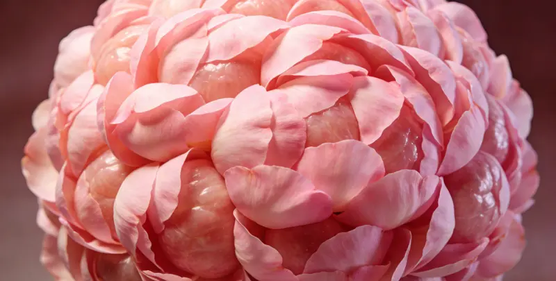 宜昌BRCA1/2乳腺癌卵巢癌基因检测图片1